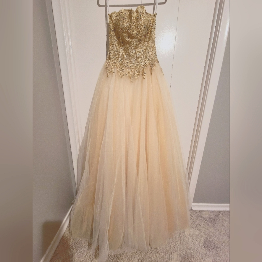 Prom/Wedding Dress